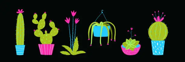 Vector illustration of Cactus and succulets on black background isolated clip art.