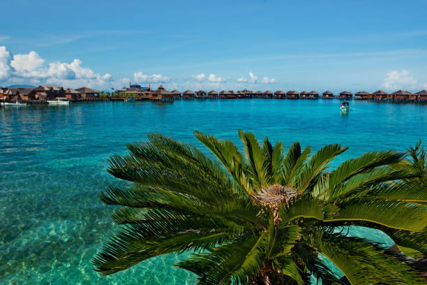 istock Dive resort on coral reefs 1164407484