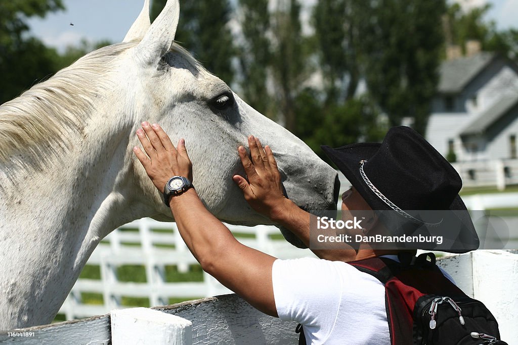 Cowboy und Pferd - Lizenzfrei Agrarbetrieb Stock-Foto