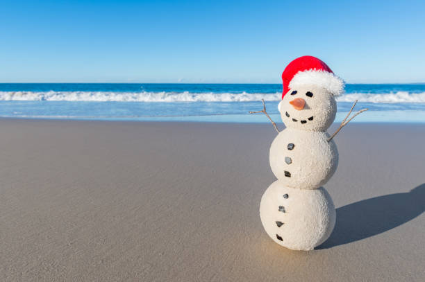istock Australian Christmas Sandman on a beautiful white sand beach at sunset 1164420712