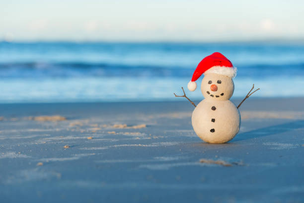 istock Australian Christmas Sandman on a beautiful white sand beach at sunset 1164420713
