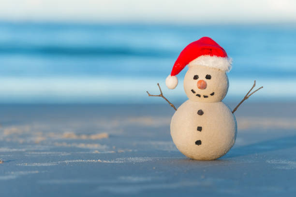 istock Australian Christmas Sandman on a beautiful white sand beach at sunset 1164421274