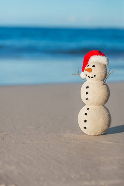 istock Australian Christmas Sandman on a beautiful white sand beach at sunset 1164421275