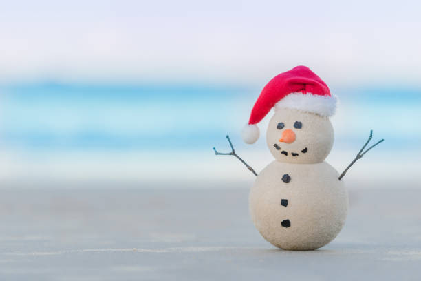 istock Australian Christmas Sandman on a beautiful white sand beach at sunset 1164421314