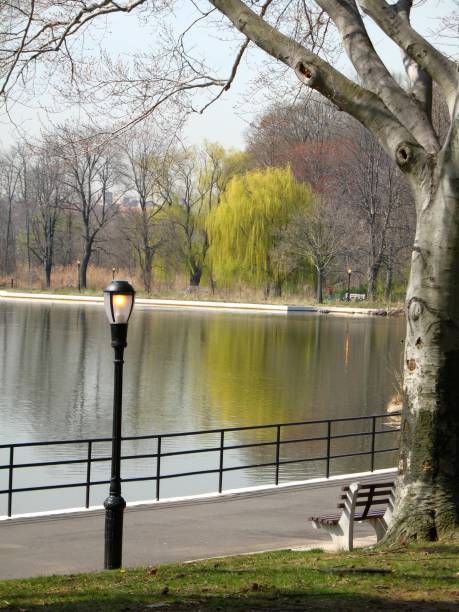 20+ Kissena Park Stock Photos, Pictures & Royalty-Free Images - iStock