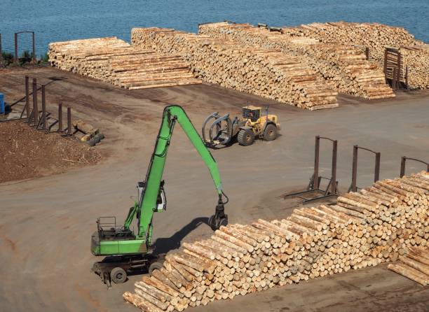 trasporto del legno attrezzature - lumber industry timber truck forklift foto e immagini stock