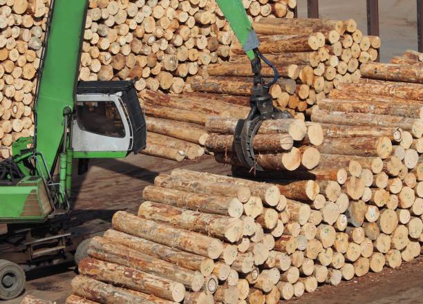 istock Wood transport Equipment 1164424088