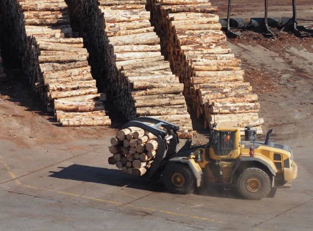 trasporto del legno attrezzature - lumber industry timber truck forklift foto e immagini stock