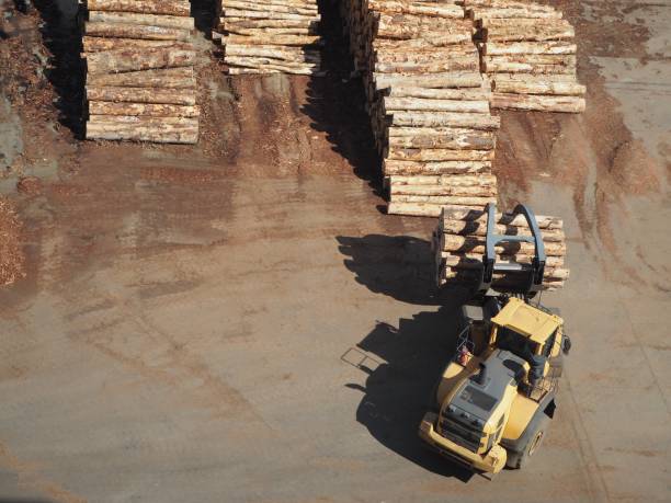 trasporto del legno attrezzature - lumber industry timber truck forklift foto e immagini stock