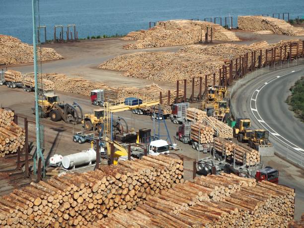 istock Wood transport Equipment 1164424288
