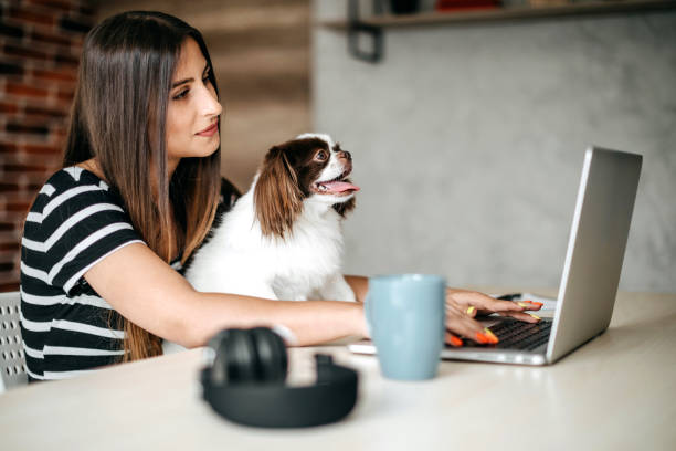 istock You make my job easyer 1164424289