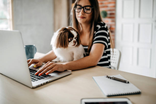 istock You make my job easyer 1164424358