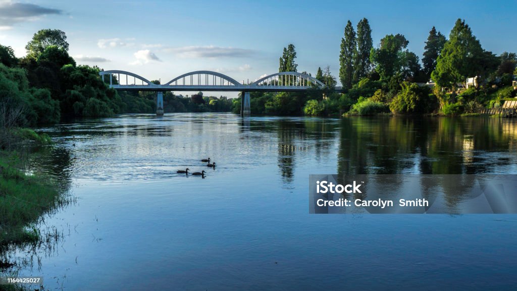Fairfield bridge and the Waikato River in Hamilton city, New Zealand. A photo looking down the Waikato  river to the distant F airfield arched bridge with ducks in the water and lovely reflections of trees in the river . Hamilton - New Zealand Stock Photo