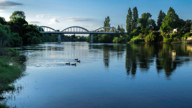 Fairfield bridge and the Waikato River in Hamilton city, New Zealand. A photo looking down the Waikato  river to the distant F airfield arched bridge with ducks in the water and lovely reflections of trees in the river . waikato region stock pictures, royalty-free photos & images