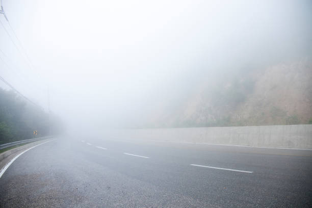 istock Early dawn. Misty road. 1164426192