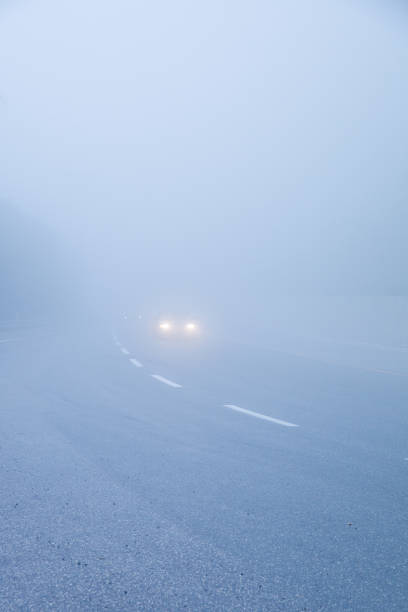 istock Early dawn. Misty road. 1164426238
