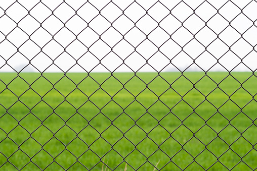 Chain link fence with green grass field on background. Close-up view from behind the fence. Outdoors in daylight, springtime. Selective focus on steel mesh.