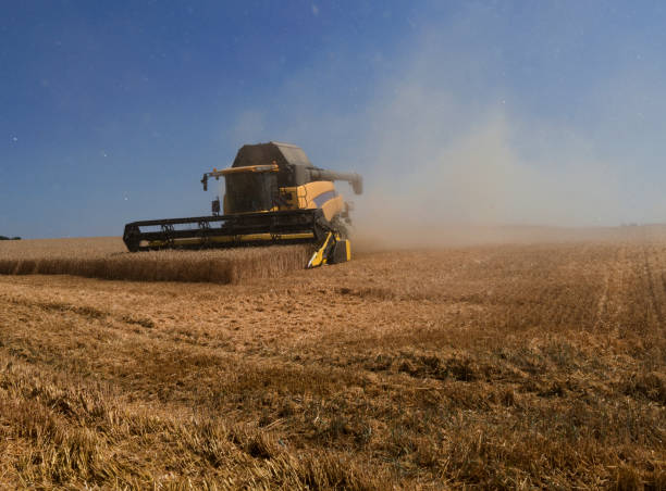 istock Farm implements: Modern combine harvester when mowing a wheat field 1164432203
