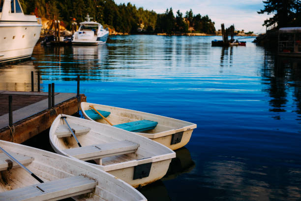 istock 3 rowboats on blue reflective ocean 1164434182