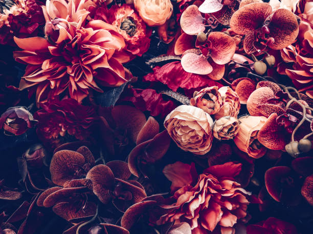 istock artificial flowers wall background with vintage style 1164436152