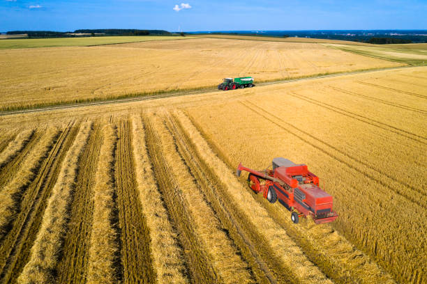 Aerial view of a combine harvester working on a large wheat field.