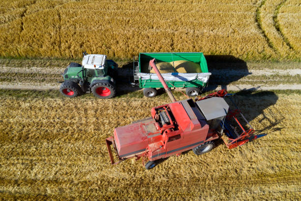 istock Combine harvester pouring corn grain into tractor trailer 1164437855