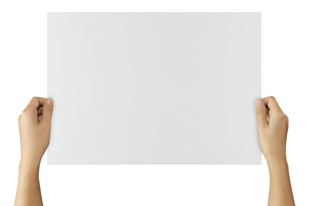 istock sheet of paper. 1164437903
