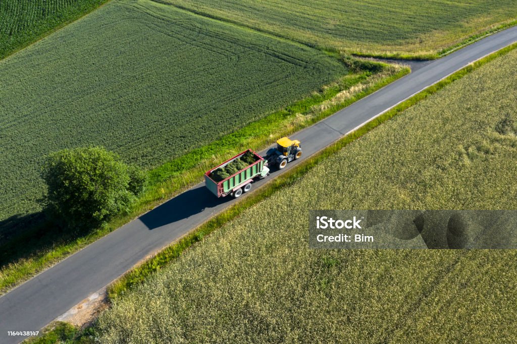 Traktor mit Anhänger auf Landstraße - Lizenzfrei Straßenverkehr Stock-Foto