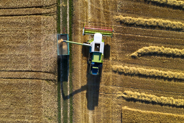 istock Combine harvester filling trailer with corn grain 1164438744
