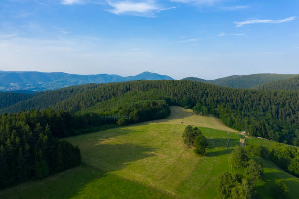 Vosges Landscape stock photo