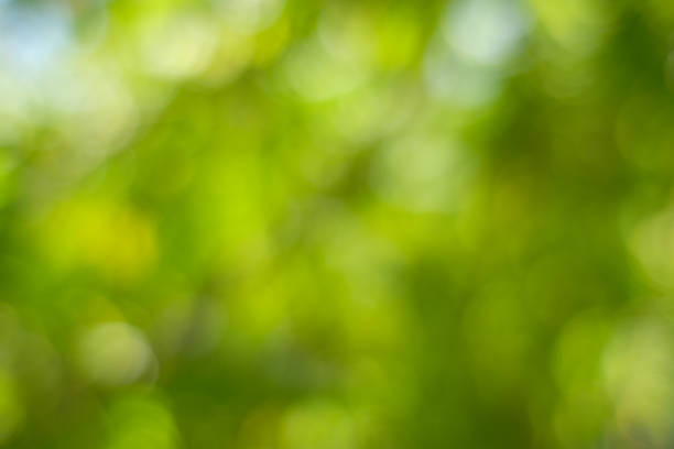istock Light of out focus,Blurred background 1164445532
