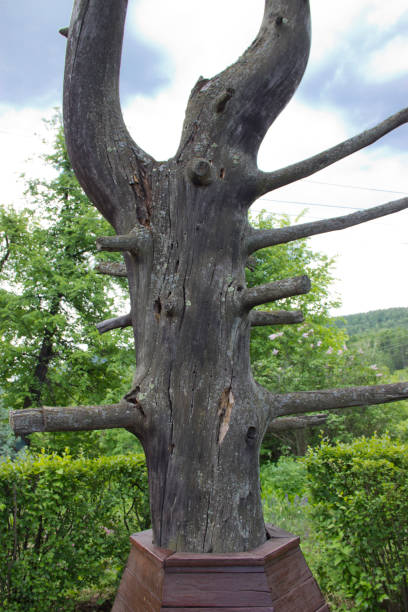 istock an installation made of old dry wood 1164451065