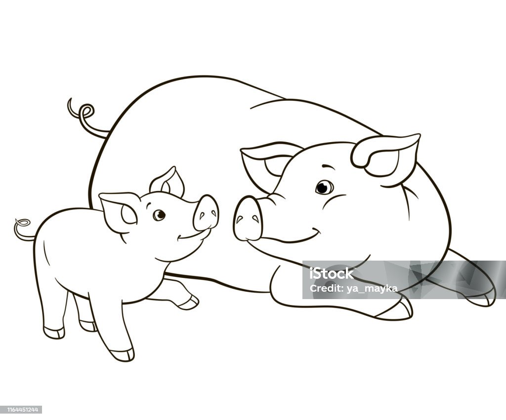Trang Tô Màu Lợn Mẹ Nằm Với Những Chú Heo Con Nhỏ Dễ Thương Của Mình Hình  minh họa Sẵn có - Tải xuống Hình ảnh Ngay bây giờ - iStock
