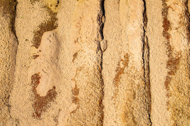 istock The texture of the sandy surface. 1164457931