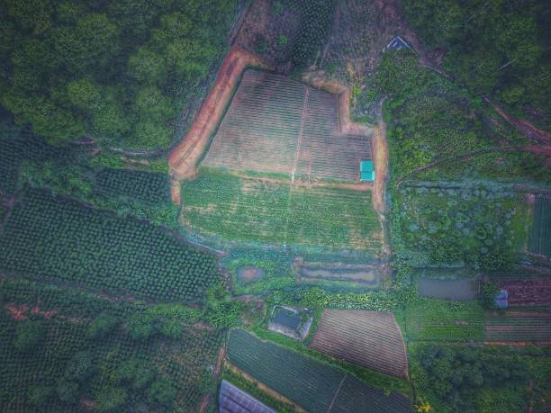 DCIM\\100MEDIA\\DJI_0158.JPG