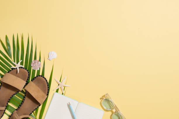 istock Leather sandals, tropical palm leaves, seashells, starfish on white background. Summer backdrop. 1164461399