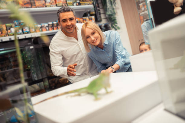 istock Husband and wife looking at iguana while visiting pet shop 1164461543