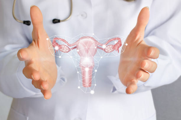 istock A medical worker shows the uterus in hands. 1164464380