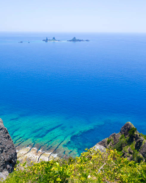 istock Elevated view of a rocky shore in Taiwan 1164468840