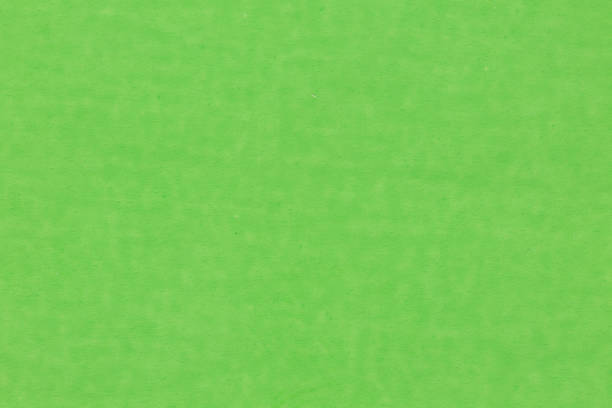 istock Green paper texture. High quality texture in extremely high resolution. 1164469929