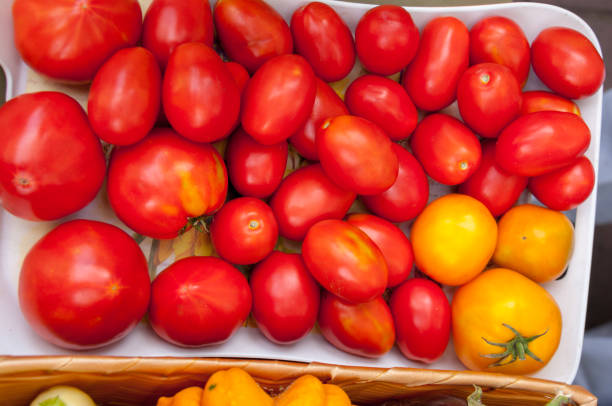 istock Autumnal harvest: background of red tomatoes 1164472085