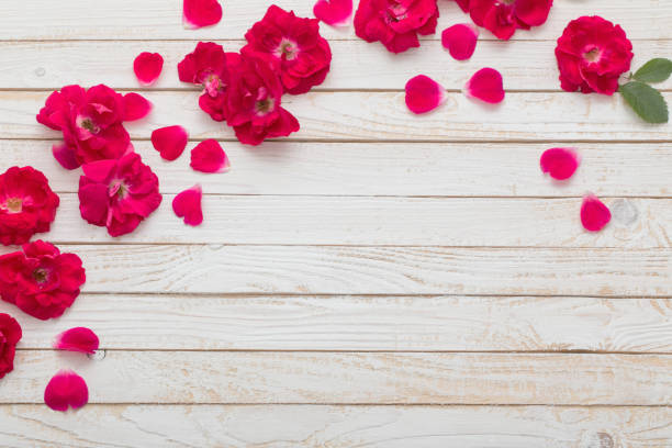 istock red roses on white wooden background 1164473187