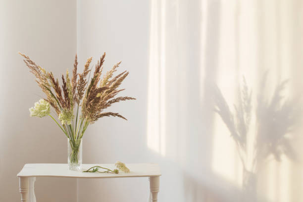 白いインテリアの日光のガラス花瓶の野生の草の植物 - bouquet flower autumn vase ストックフォトと画像