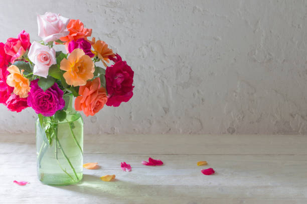roses in vase on background white wall