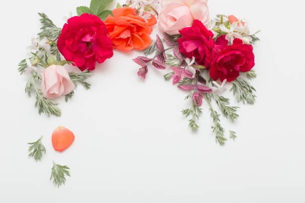 istock rose flowers and leaves on white background 1164473198