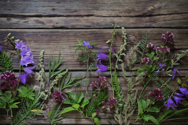 istock wildflowers on dark old wooden background 1164474314