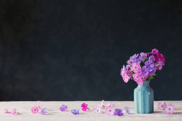 istock phlox in blue ceramic vase on dark background 1164474317