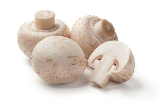 istock Champignons, close-up, isolated on white background. 1164474987