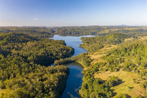 Aerial of a water reservoir, lake in near a forest of pine with a river, creek leading to dam at sunrise.