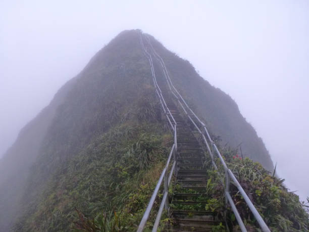 istock Stairway to heaven 1164478648